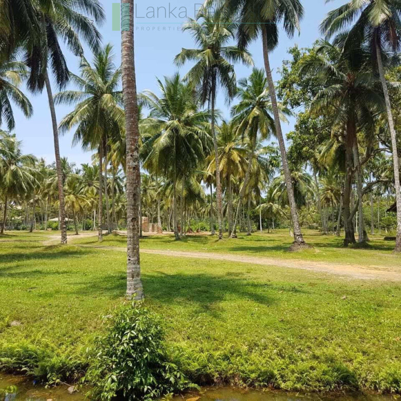 Attractive four acre development plot near Ahangama