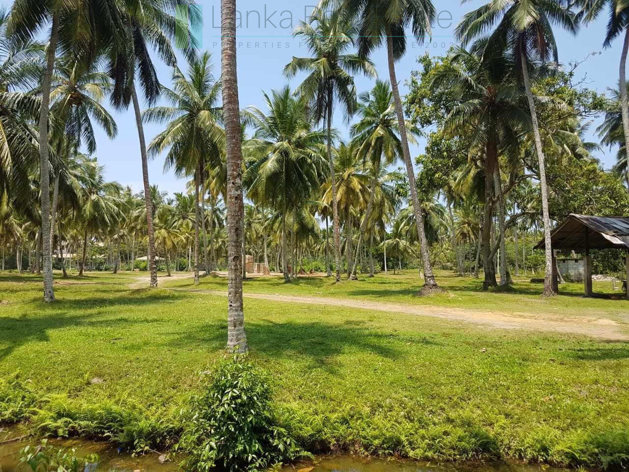 Attractive four acre development plot near Ahangama