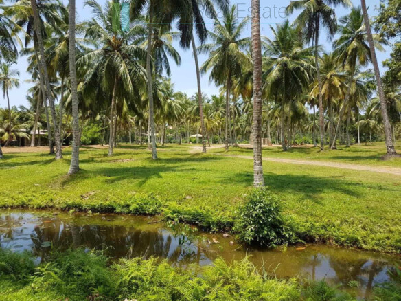 Attractive four acre development plot near Ahangama