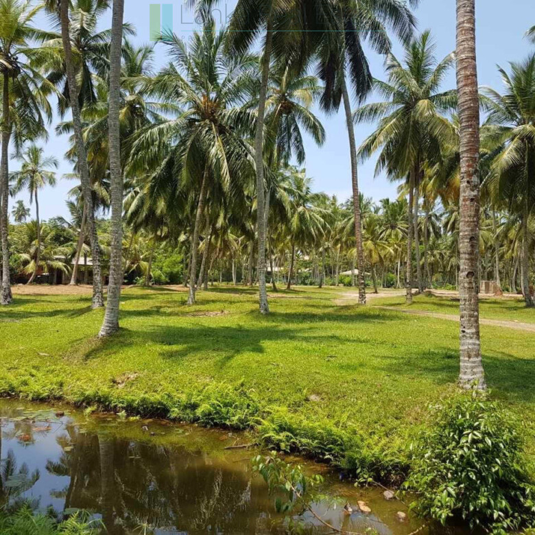 Attractive four acre development plot near Ahangama