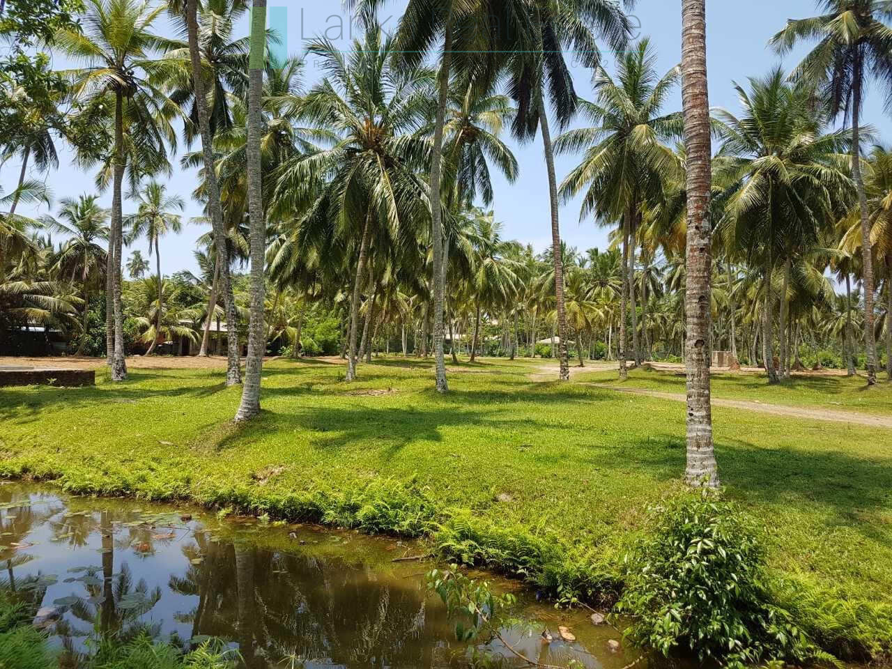 Attractive four acre development plot near Ahangama