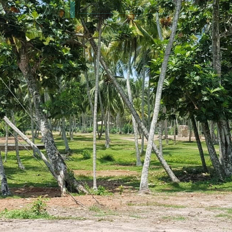 Attractive four acre development plot near Ahangama