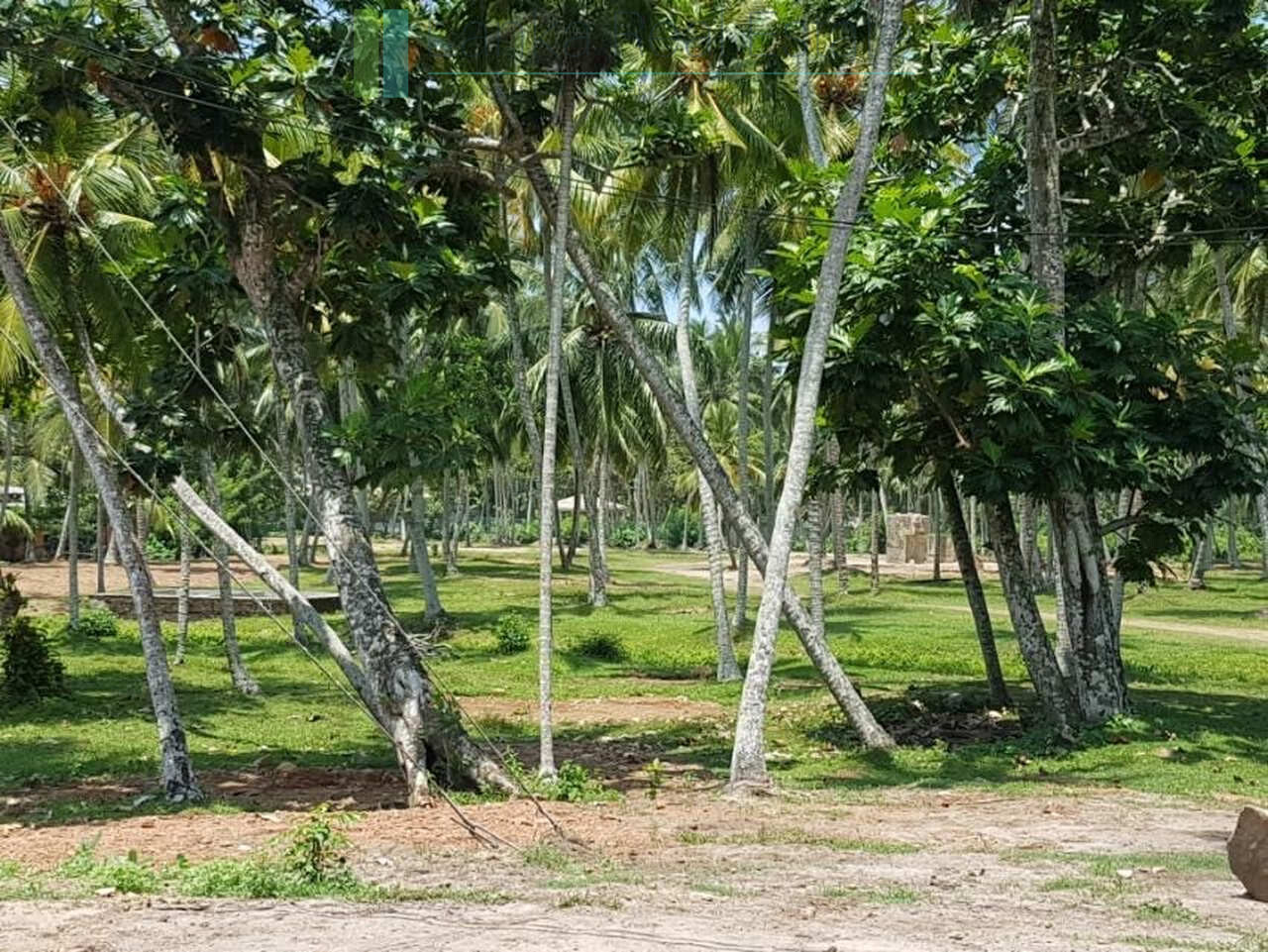 Attractive four acre development plot near Ahangama