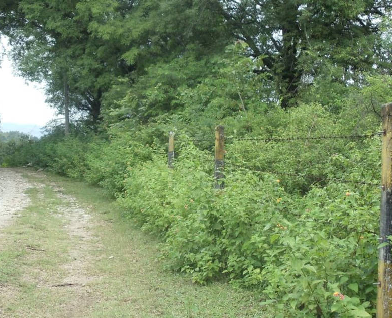 Lakefront property in Hill Country