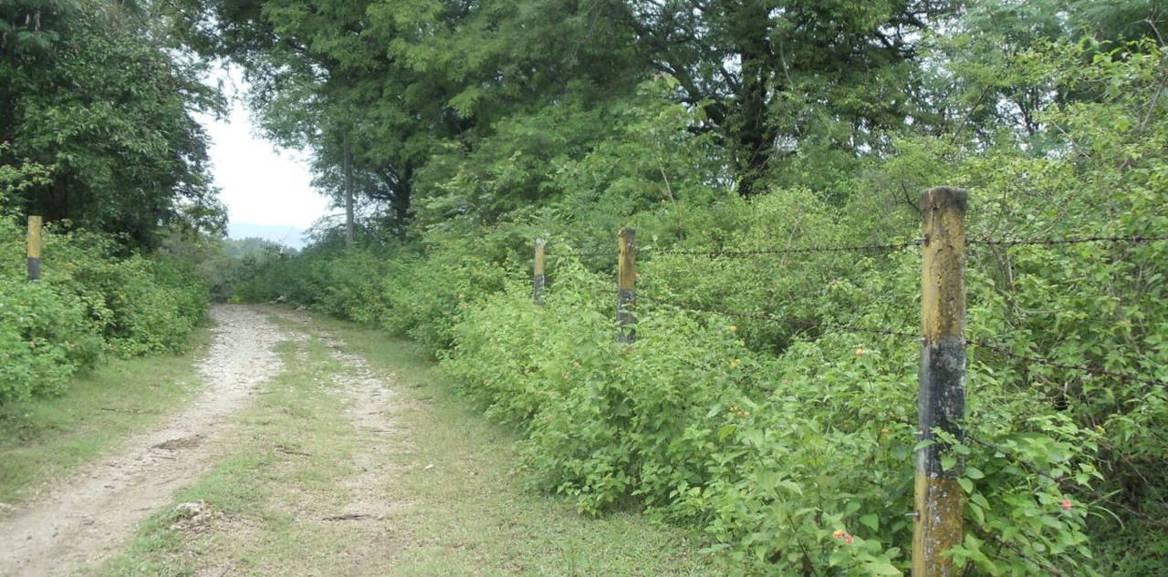 Lakefront property in Hill Country