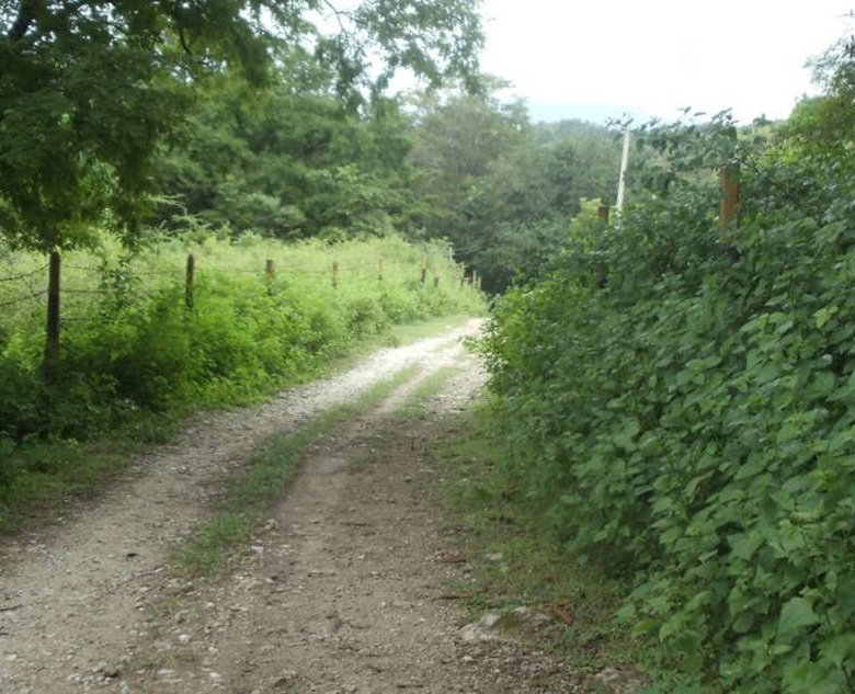 Lakefront property in Hill Country