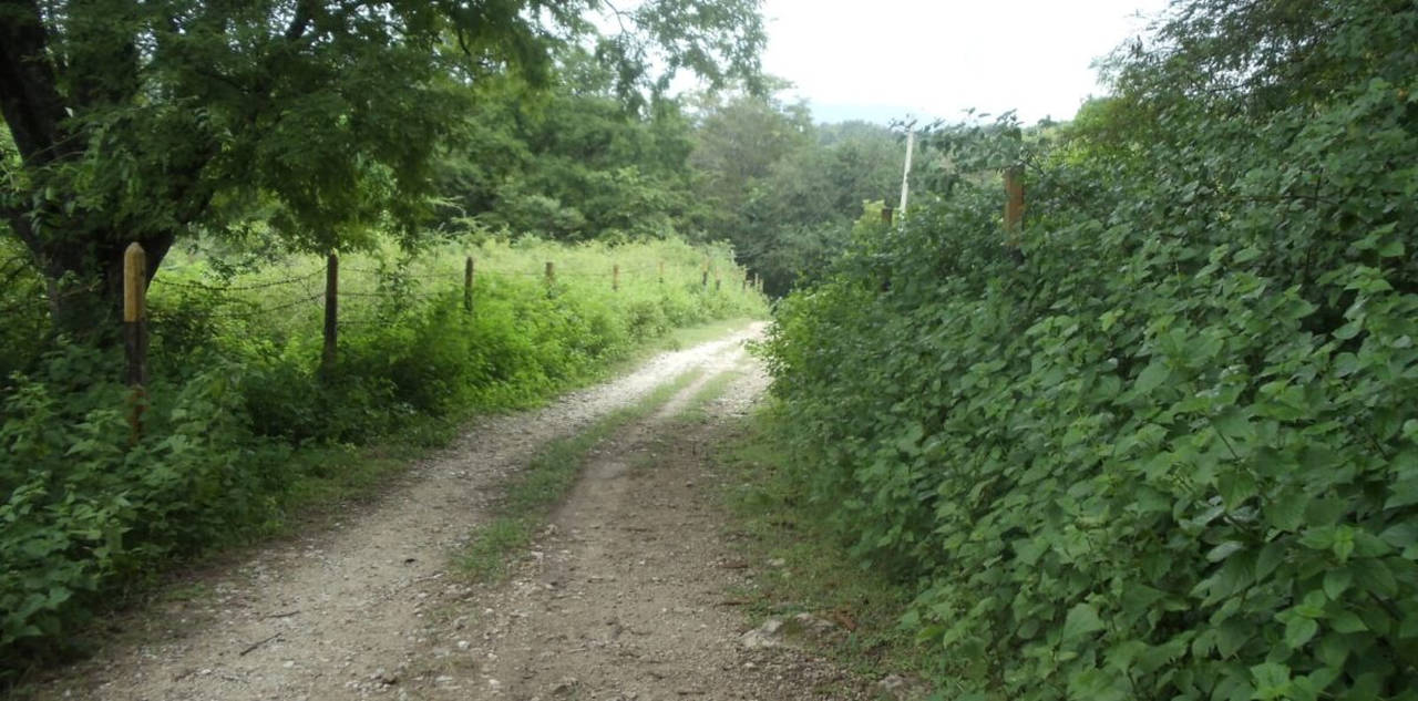 Lakefront property in Hill Country