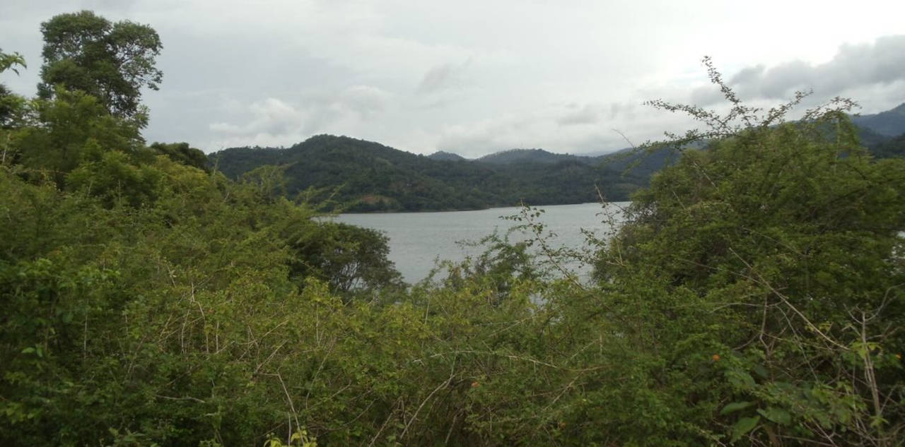 Lakefront property in Hill Country