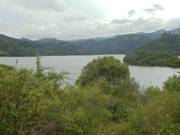 Lakefront property in Hill Country