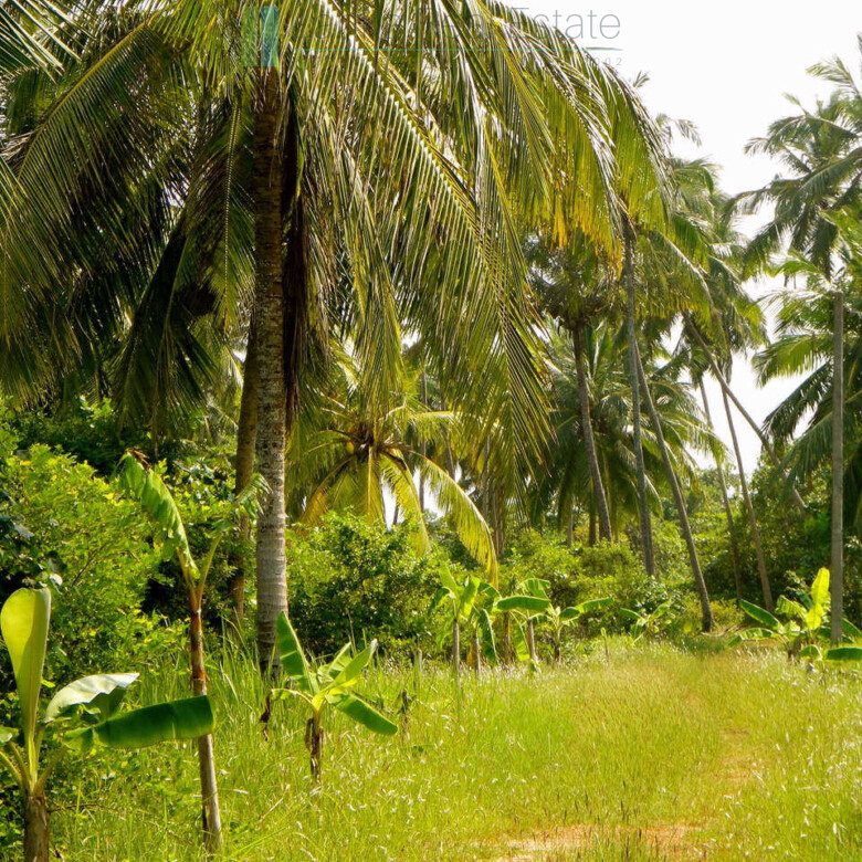 Waterside paradise near the beach