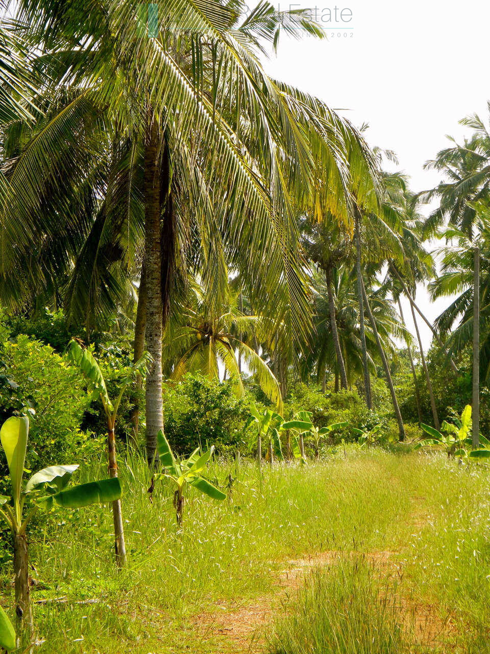 Waterside paradise near the beach