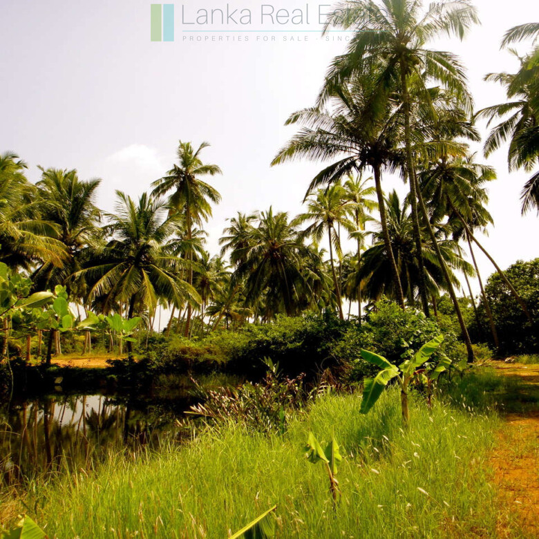 Waterside paradise near the beach