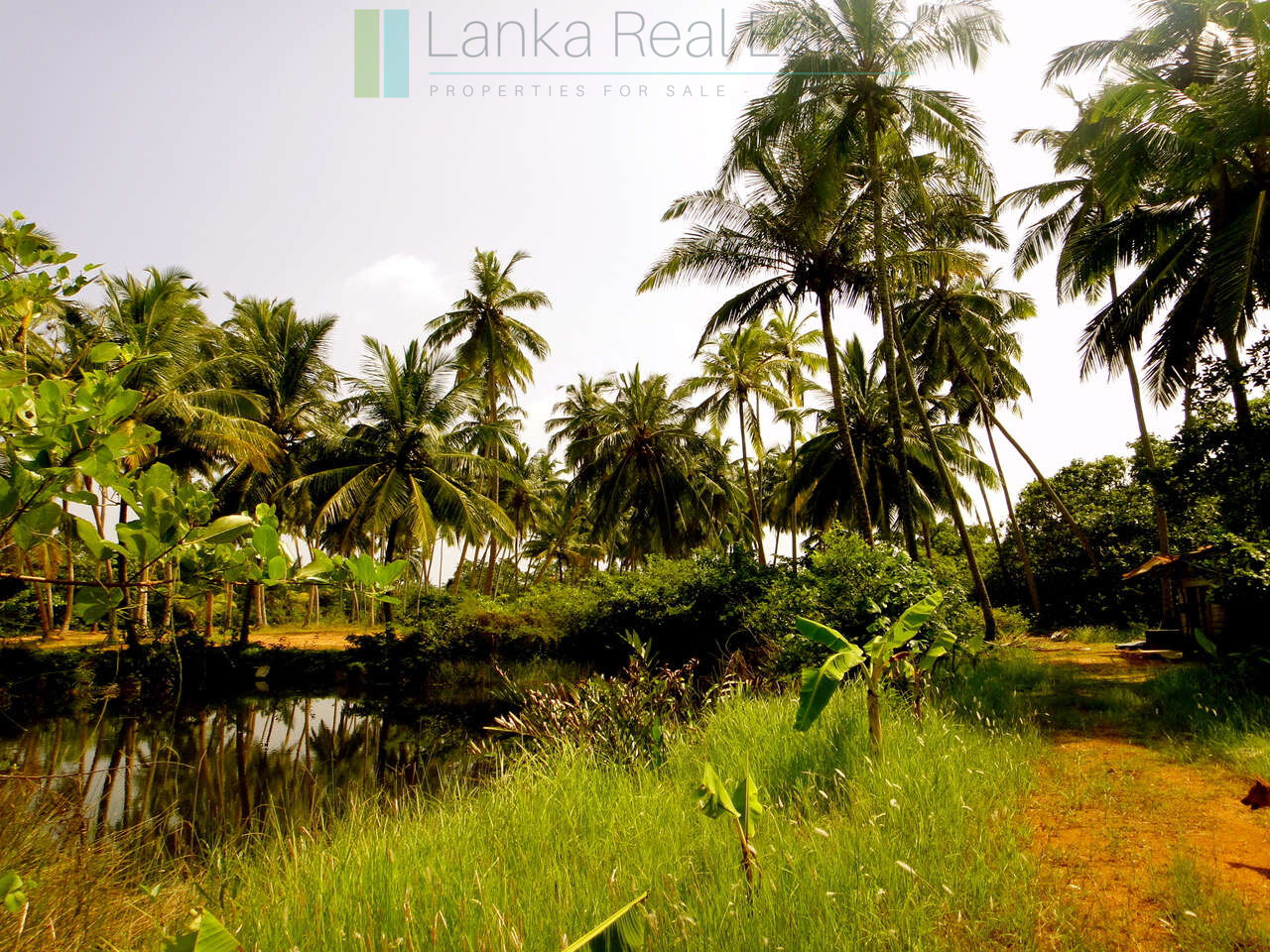 Waterside paradise near the beach