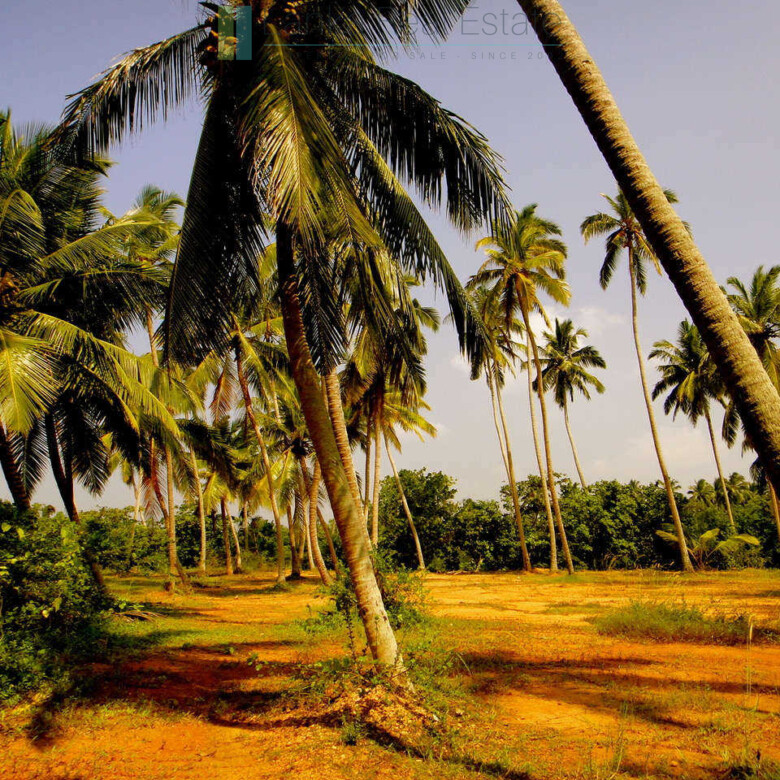 Waterside paradise near the beach