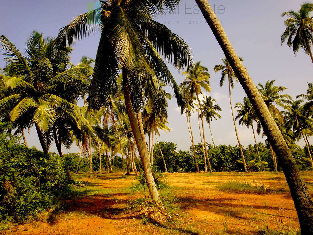 Waterside paradise near the beach