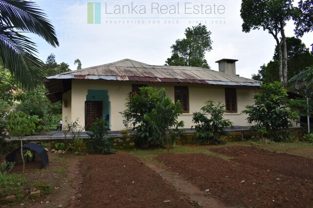 Bungalow on 82 acre tea estate in Hill Country