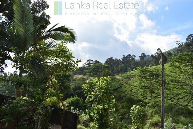 Bungalow on 82 acre tea estate in Hill Country
