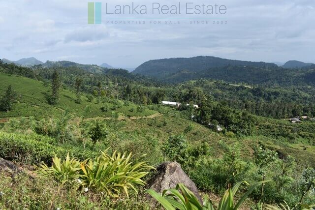 Bungalow on 82 acre tea estate in Hill Country