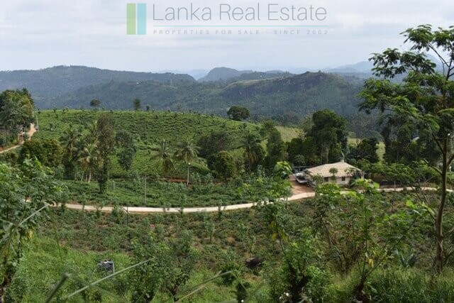 Bungalow on 82 acre tea estate in Hill Country