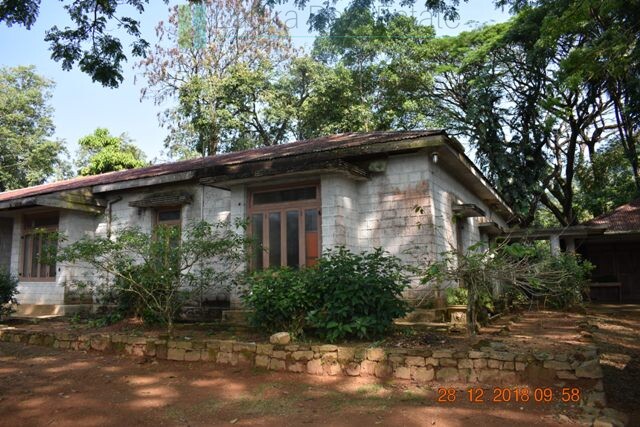 Thirty two acres with tea estate and two bungalows
