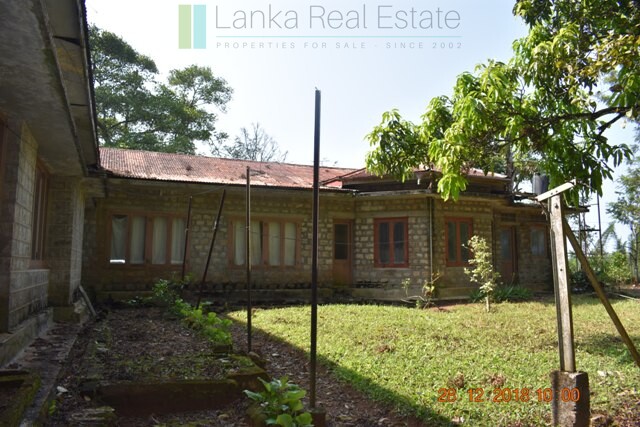 Thirty two acres with tea estate and two bungalows