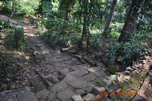 Thirty two acres with tea estate and two bungalows