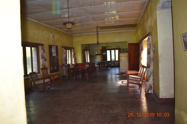 Thirty two acres with tea estate and two bungalows