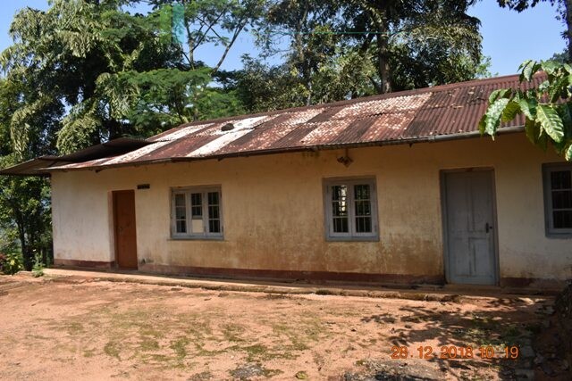 Thirty two acres with tea estate and two bungalows