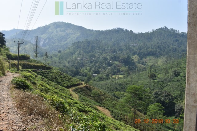 Thirty two acres with tea estate and two bungalows