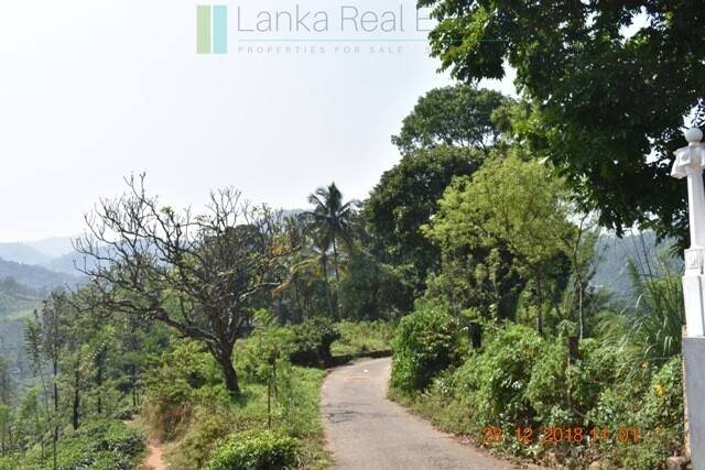 Thirty two acres with tea estate and two bungalows