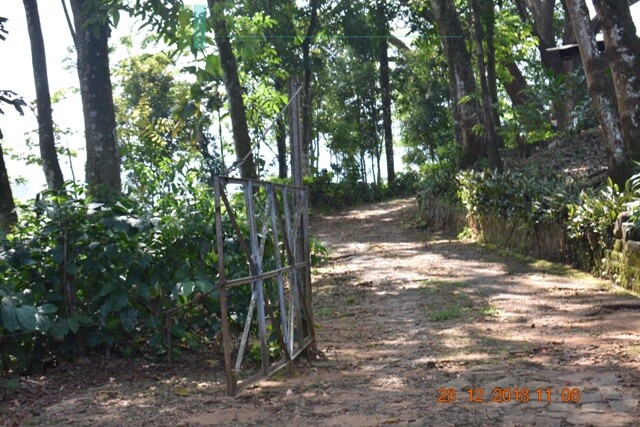 Thirty two acres with tea estate and two bungalows