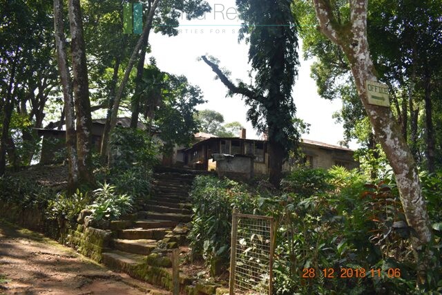 Thirty two acres with tea estate and two bungalows