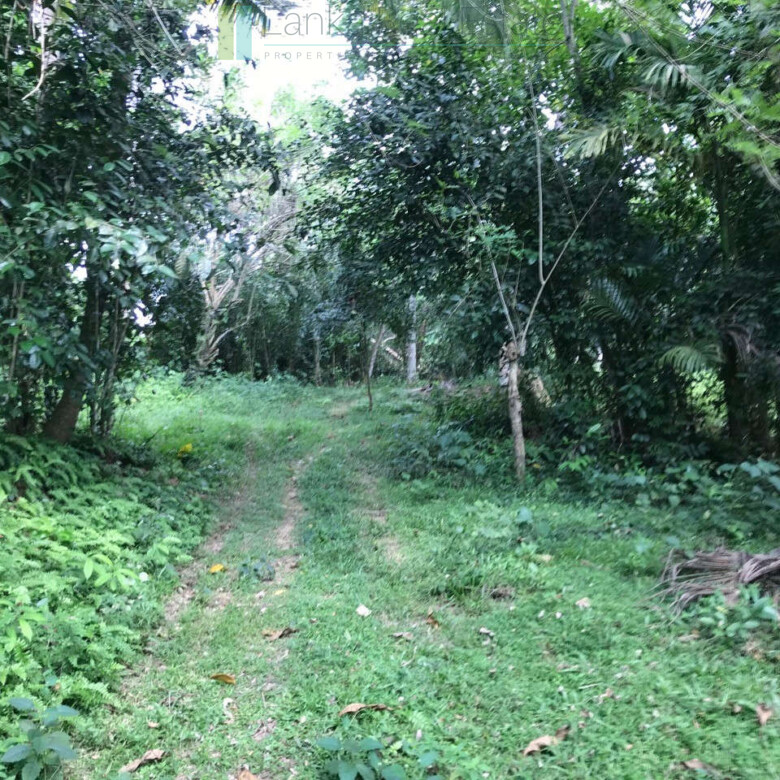 Old house with land in Unawatuna