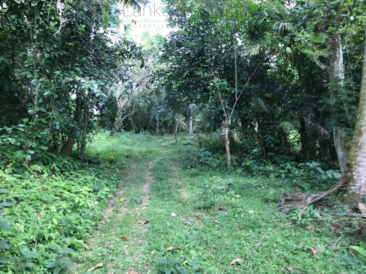 Old house with land in Unawatuna