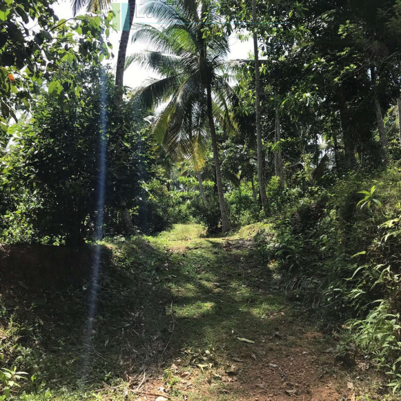 Old house with land in Unawatuna