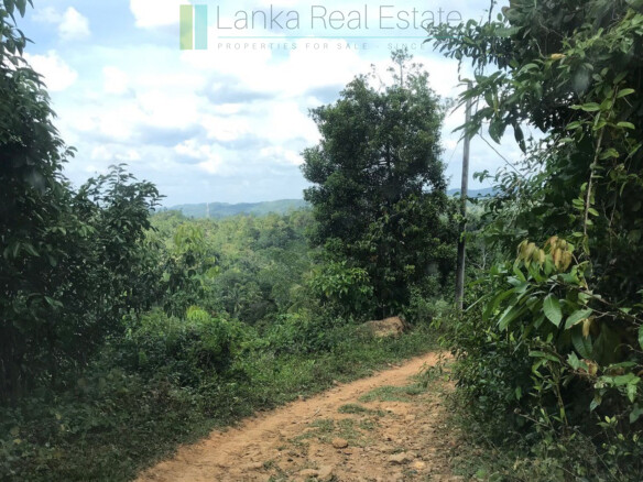 Five acre plot in Andugoda with easy access to coast