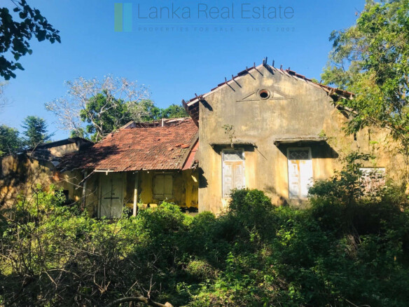 Renovation project in six acres at Beliatta