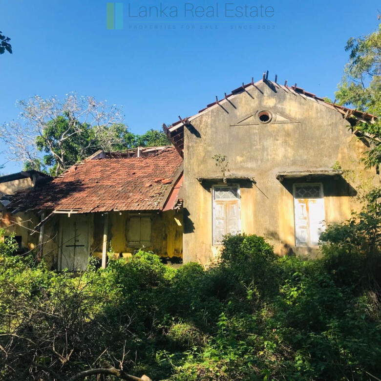 Renovation project in six acres at Beliatta