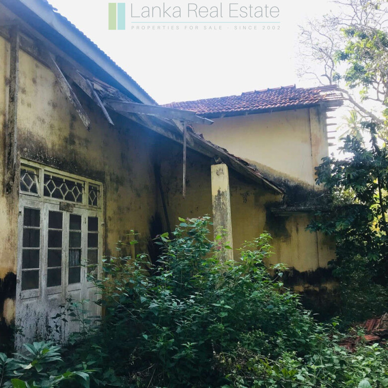 Renovation project in six acres at Beliatta