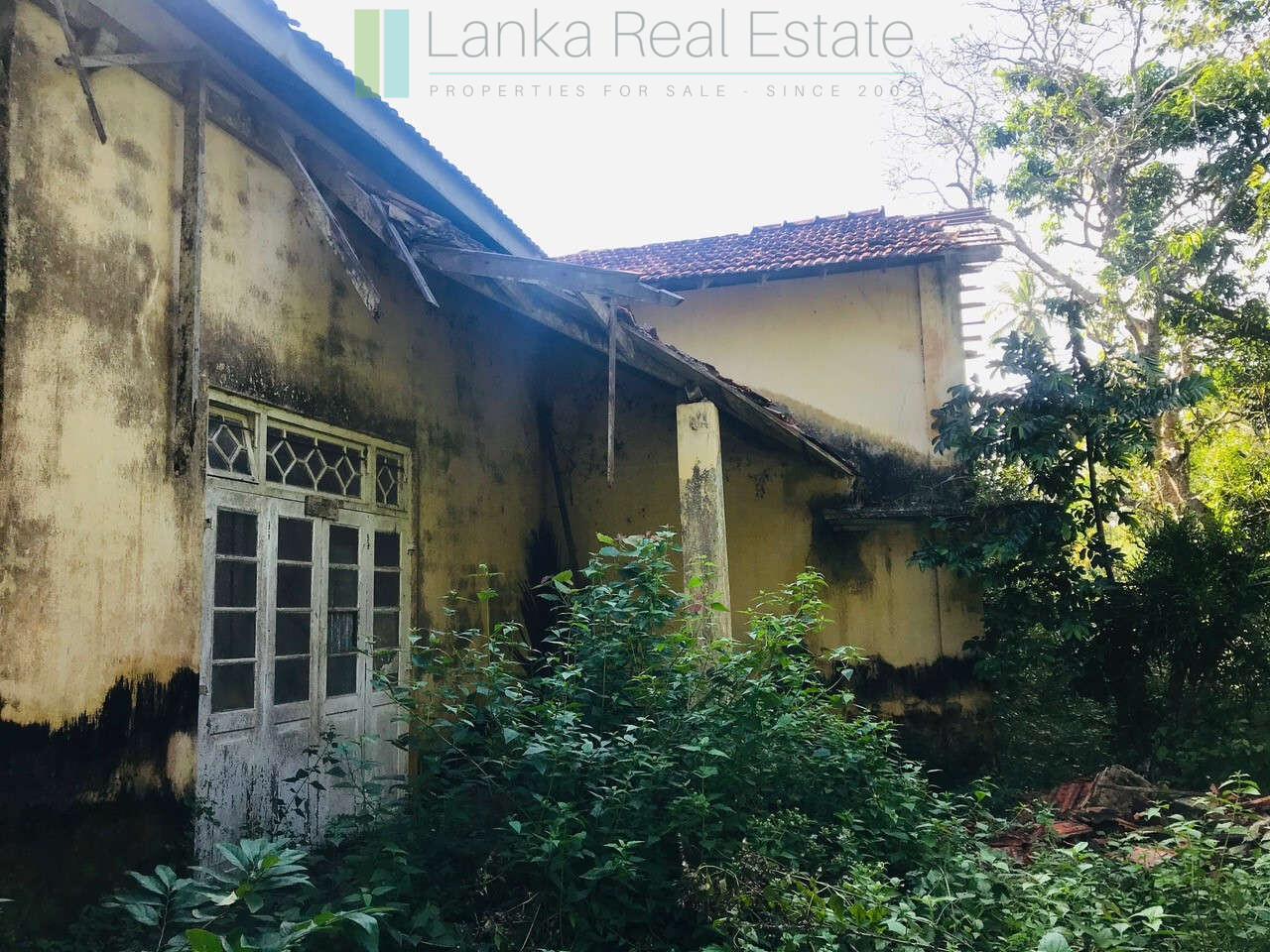Renovation project in six acres at Beliatta