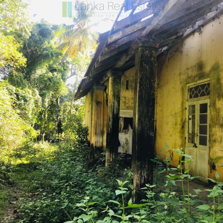 Renovation project in six acres at Beliatta