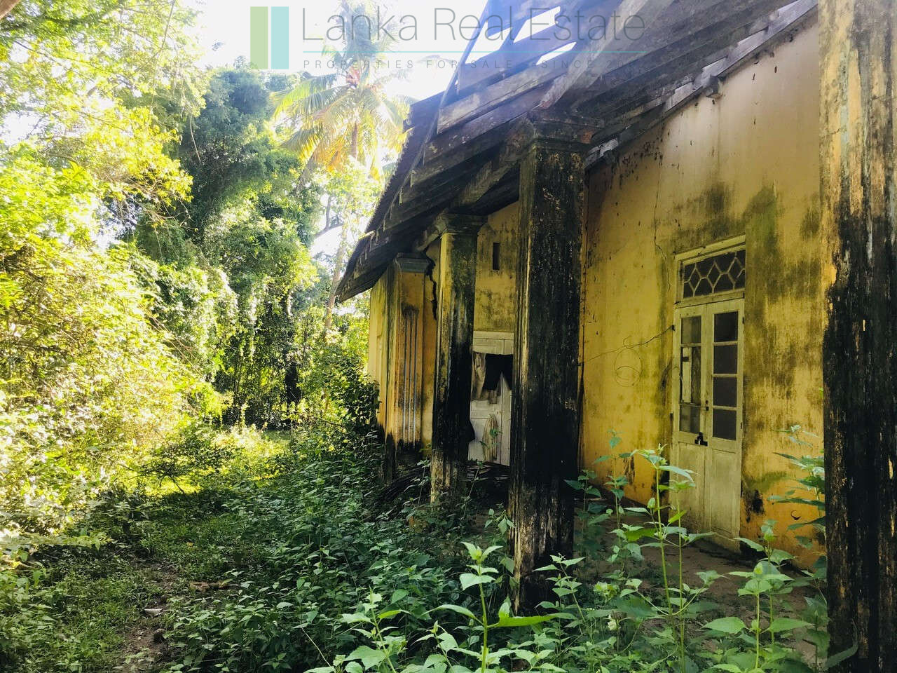 Renovation project in six acres at Beliatta