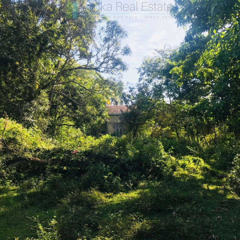 Renovation project in six acres at Beliatta