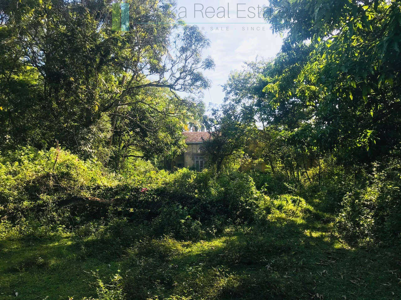 Renovation project in six acres at Beliatta