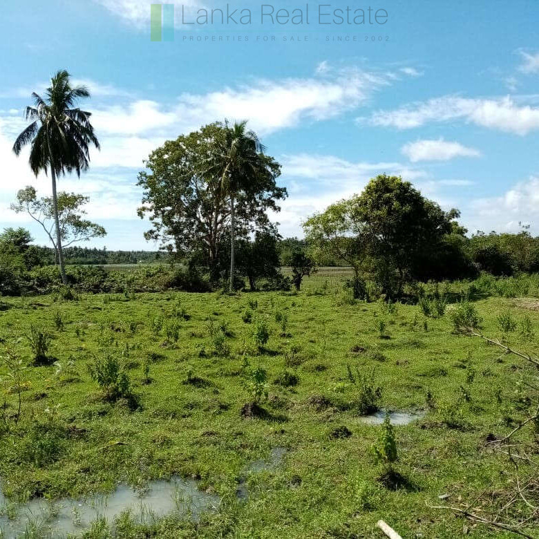 Renovation project in six acres at Beliatta