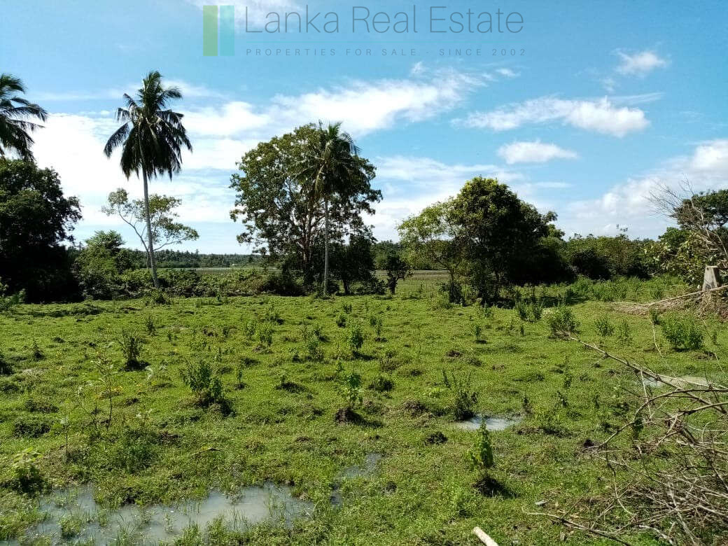 Renovation project in six acres at Beliatta