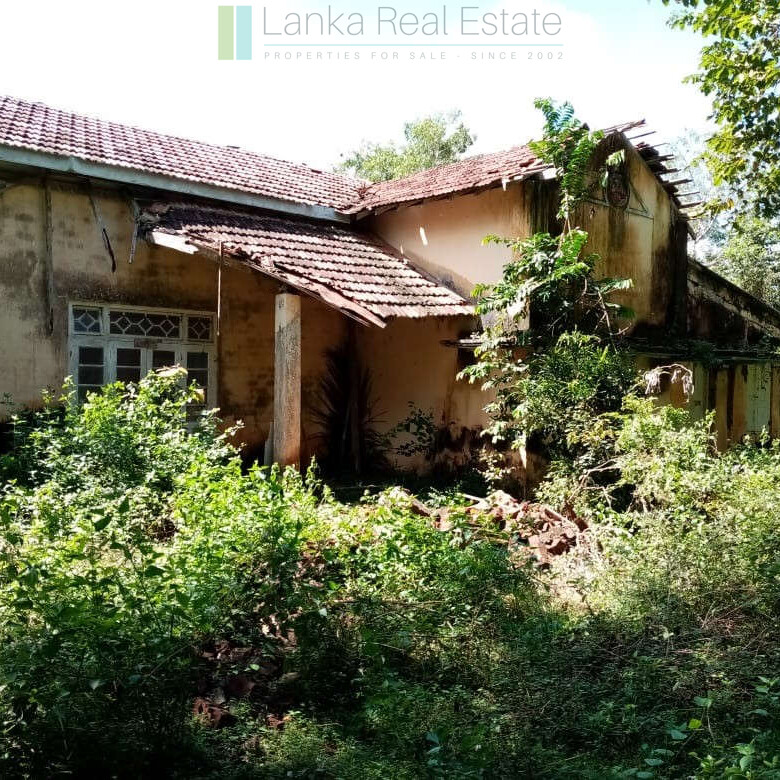 Renovation project in six acres at Beliatta