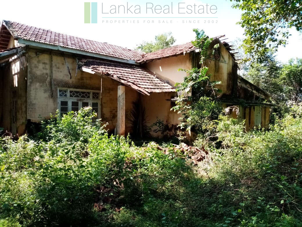 Renovation project in six acres at Beliatta