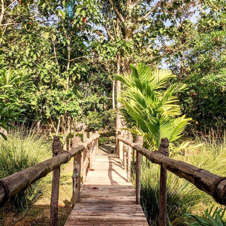 Boutique Eco Resort in Hikkaduwa