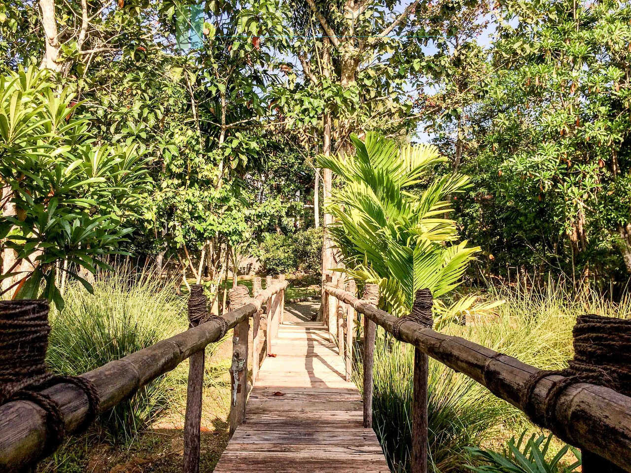 Boutique Eco Resort in Hikkaduwa